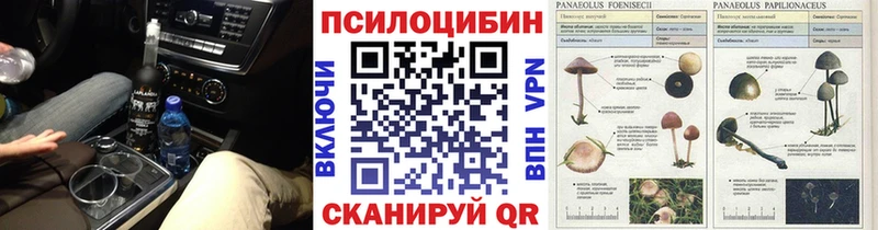 Псилоцибиновые грибы прущие грибы  Мелеуз 